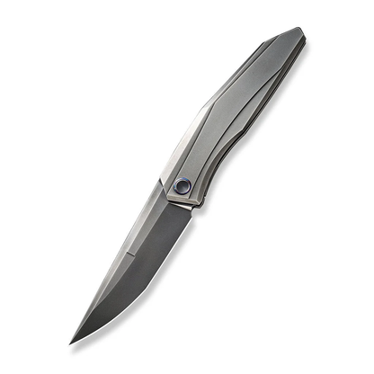 WE Knife Co., Ltd™ WE22033-6 Gray Titanium CPM 20CV Stainless Steel Pocket Knife